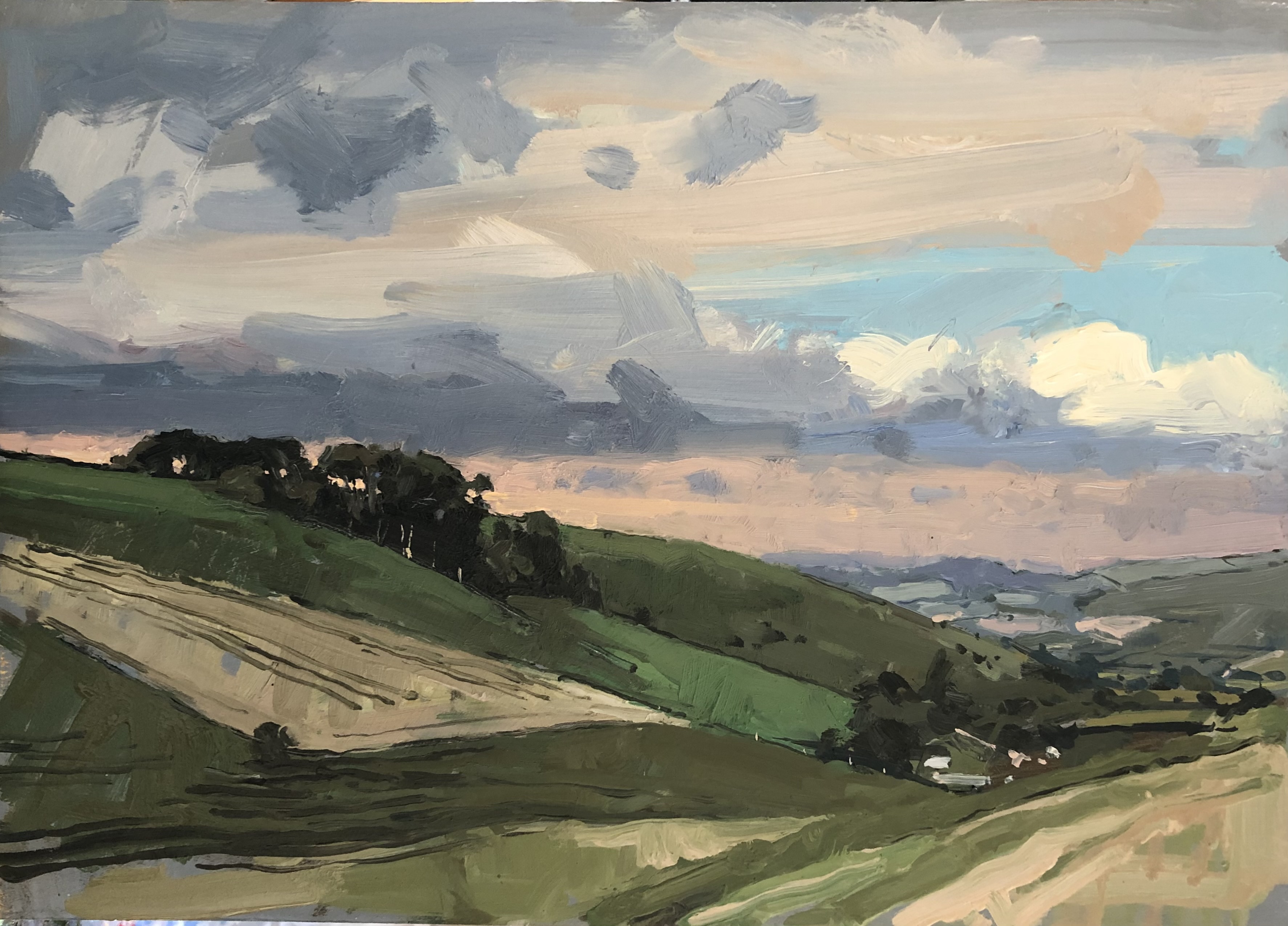 Wood on hill, Dorset 2025